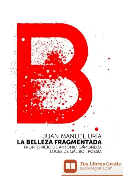 Descargar Belleza Fragmentada