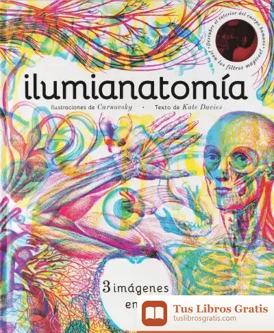 Descargar Ilumianatomía de Kate Davies