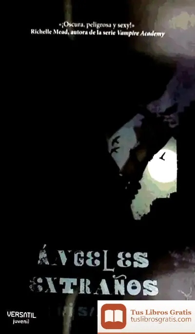 Descargar Ángeles Extraños