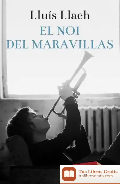 Descargar El Noi Del Maravillas