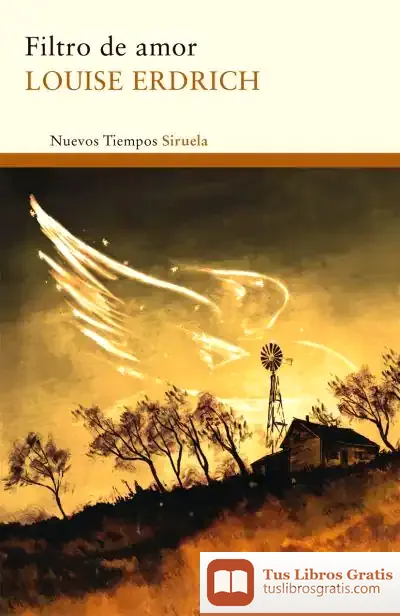 Descargar Filtro De Amor de Louise Erdrich
