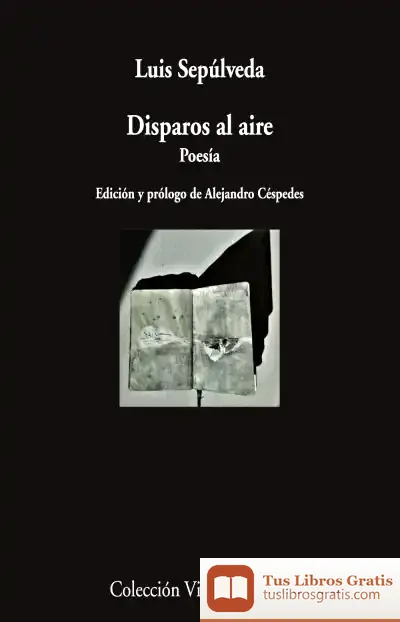 Descargar Disparos Al Aire