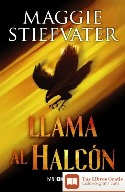 Descargar Llama Al Halcón de Maggie Stiefvater