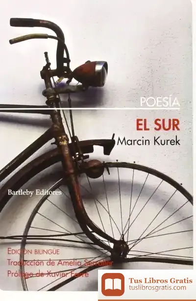 Descargar El Sur