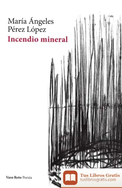 Descargar Incendio Mineral de María Ángeles Pérez López
