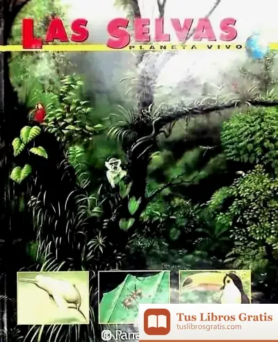 Descargar Las Selvas