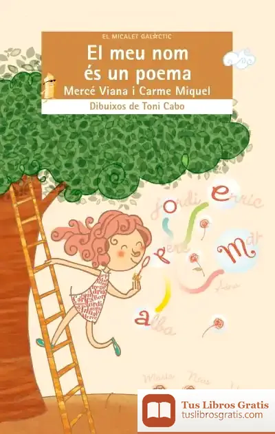 Descargar El Meu Nom És Un Poema de Mercé Viana