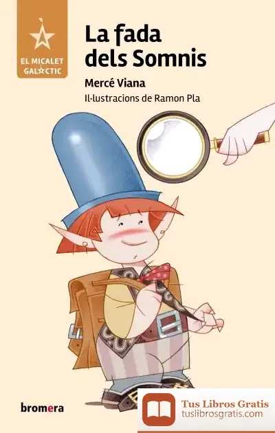Descargar La Fada Dels Somnis de Mercé Viana