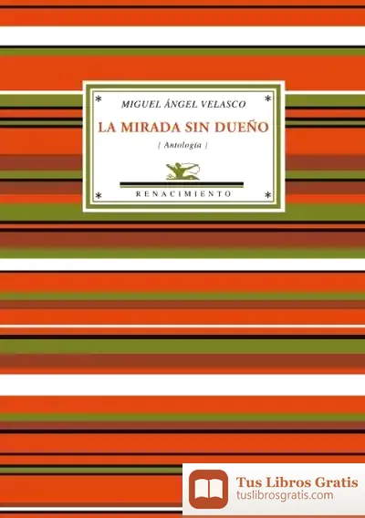 Descargar La Mirada Sin Dueño