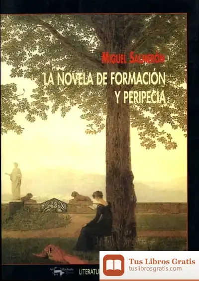 Descargar La Novela De Formación Y Peripecia de Gregorio Casamayor Pérez