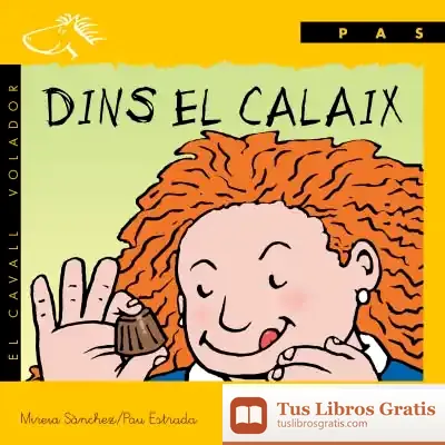 Descargar Dins El Calaix de Mireia Sánchez Civil