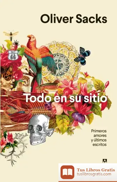 Descargar Todo En Su Sitio