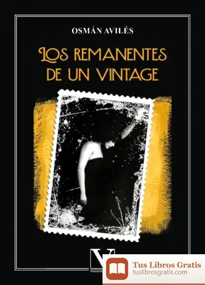 Descargar Los Remanentes De Un Vintage de Donato Vargas Fernández