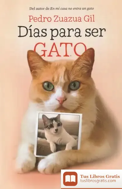 Descargar Días Para Ser Gato