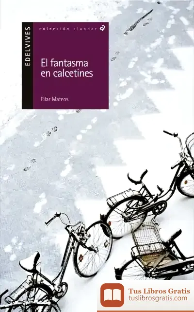 Descargar El Fantasma En Calcetines de Pilar Mateos