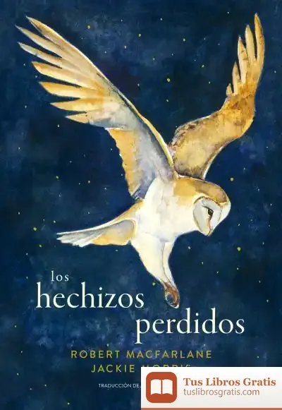 Descargar Los Hechizos Perdidos