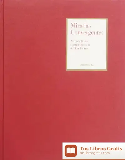 Descargar Miradas Convergentes de Violeta Monreal