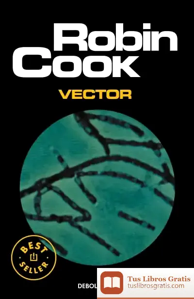 Descargar Vector