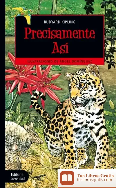 Descargar Precisamente Así
