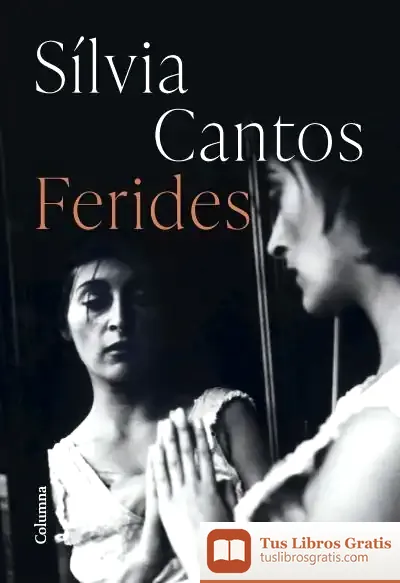 Descargar Ferides de Sílvia Cantos Bastida