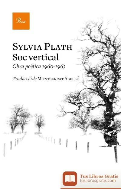 Descargar Sóc Vertical