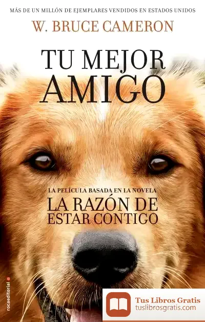 Descargar La Razón De Estar Contigo