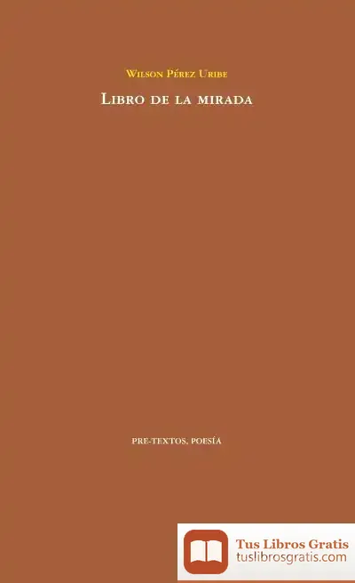 Descargar Libro De La Mirada