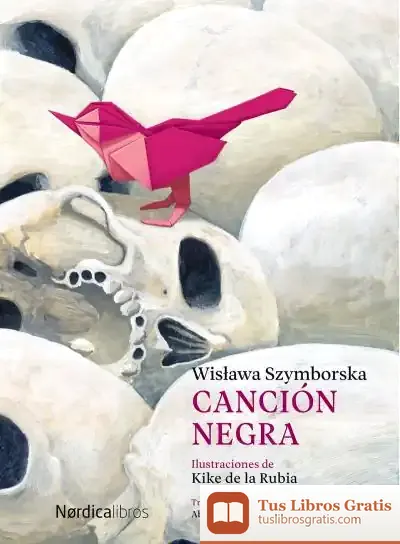 Descargar Canción Negra