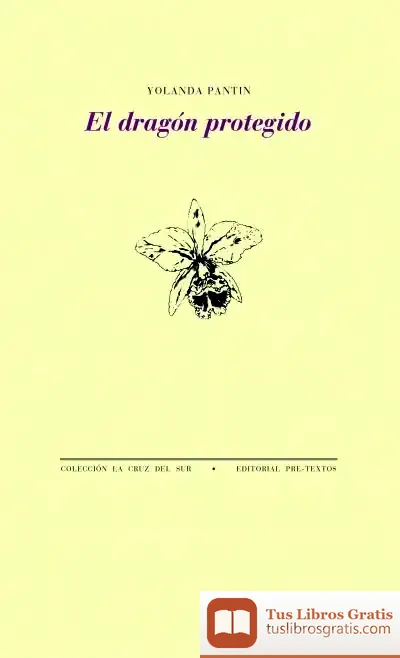 Descargar El Dragón Protegido