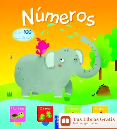 Descargar Números. Con 100 Solapas de Yoyo